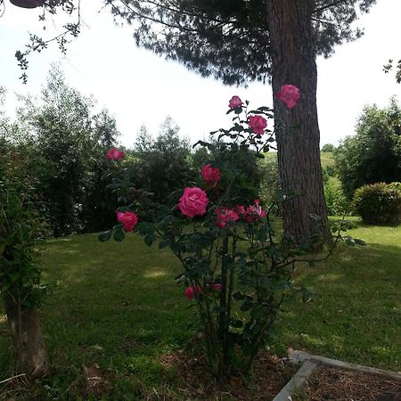 La Finestra Sul Cortile Bed and Breakfast Pomezia Buitenkant foto