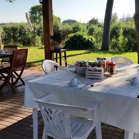 La Finestra Sul Cortile Bed and Breakfast Pomezia Buitenkant foto