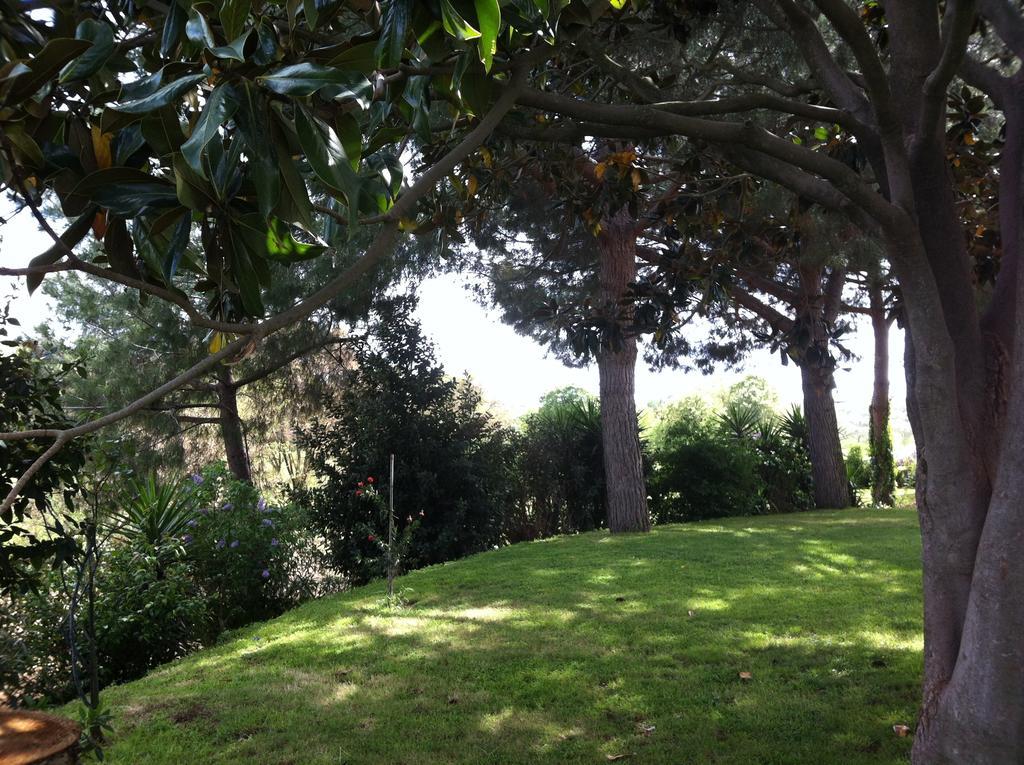 La Finestra Sul Cortile Bed and Breakfast Pomezia Buitenkant foto