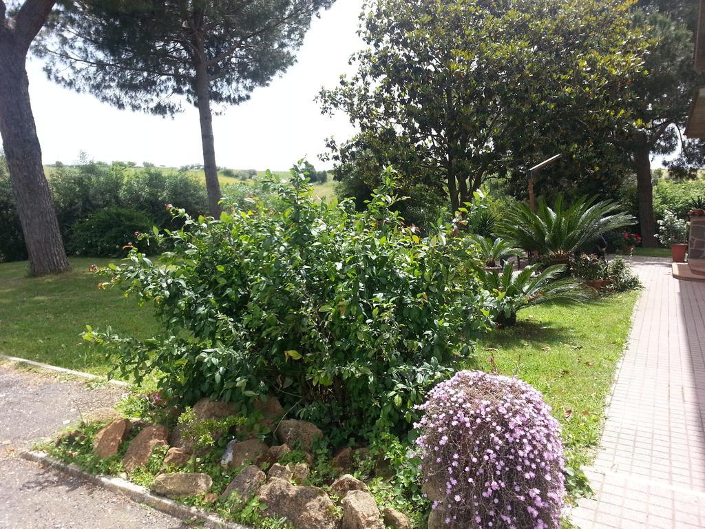 La Finestra Sul Cortile Bed and Breakfast Pomezia Buitenkant foto