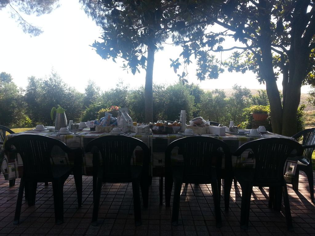 La Finestra Sul Cortile Bed and Breakfast Pomezia Buitenkant foto