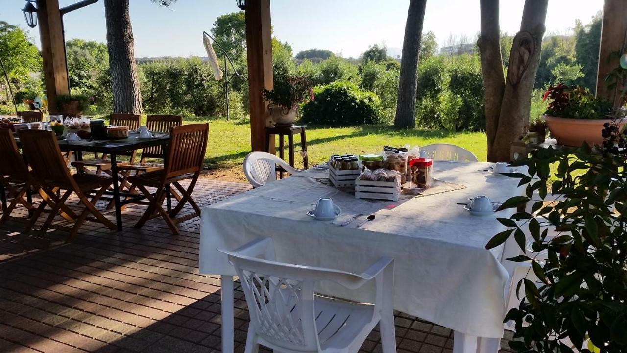 La Finestra Sul Cortile Bed and Breakfast Pomezia Buitenkant foto